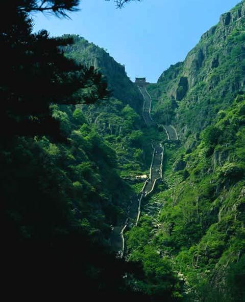 Pohled zespodu na horu Tai